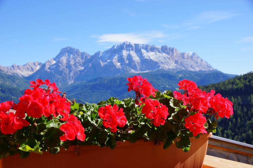 Chalet Frapes San Martino in Badia Exteriör bild